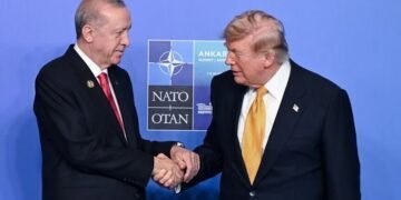 Turkish President Erdogan holds intensive diplomatic talks during NATO summit in Ankara