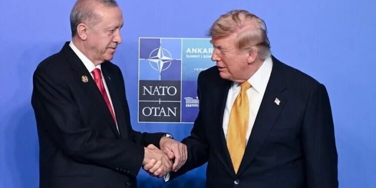 Turkish President Erdogan holds intensive diplomatic talks during NATO summit in Ankara