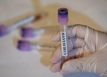 WHO announces hantavirus outbreak over