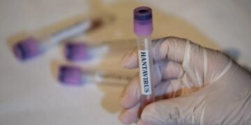 WHO announces hantavirus outbreak over