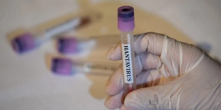 WHO announces hantavirus outbreak over