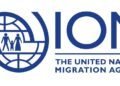 UN migration agency warns online scam centers fuel global trafficking