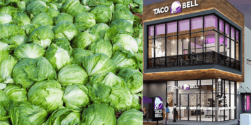 Taco Bell’s iceberg lettuce responsible for cyclospora infections in five U.S. states: CDC