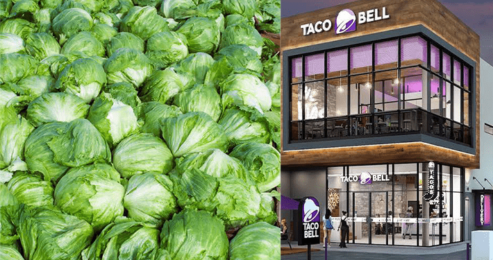 Taco Bell’s iceberg lettuce responsible for cyclospora infections in five U.S. states: CDC