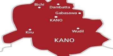 Kano begins second round of maternal, neonatal tetanus elimination campaign