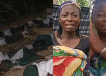 Rescue operation ongoing for abducted Oyo pupils, teachers: Army chief