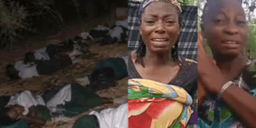 Rescue operation ongoing for abducted Oyo pupils, teachers: Army chief