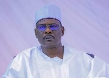 Nigerians want to hear from you; stop letting others speak for you, Ndume tells Tinubu