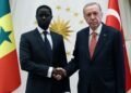 Turkish President Erdogan, Senegalese counterpart Faye discuss ties
