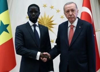 Turkish President Erdogan, Senegalese counterpart Faye discuss ties