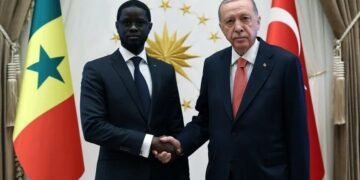 Turkish President Erdogan, Senegalese counterpart Faye discuss ties