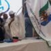 APM wins Bauchi local govt elections