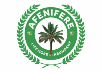 2027: Afenifere seeks stronger Yoruba-Igbo ties, warns against ethnic division