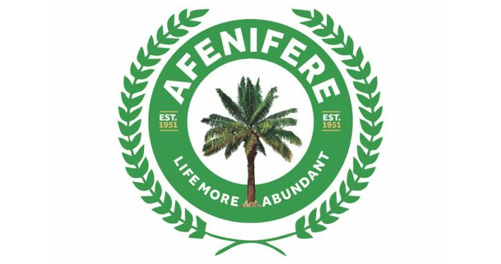2027: Afenifere seeks stronger Yoruba-Igbo ties, warns against ethnic division