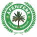 2027: Afenifere seeks stronger Yoruba-Igbo ties, warns against ethnic division