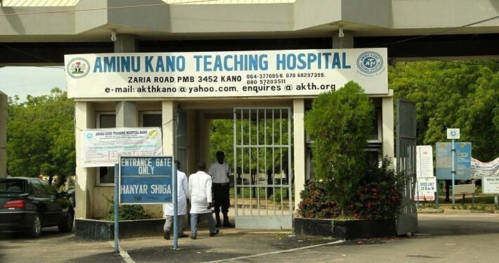 Aminu Kano hospital introduces IVF service for childless couples