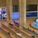 Israel’s Ben Gurion Airport resumes operations after hour-long pause due to labor dispute