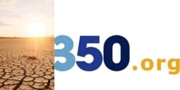 Climate group urges govt to tax oil companies more as El Niño droughts hit harvests, food prices