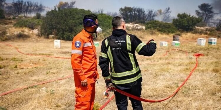 EU count of professional firefighters drops to 372,400 in 2025