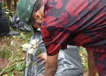 Soldiers exhume remains of slain Imo community leader from grave