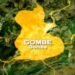2027:⁠‌‍‌‌‍‌ Group cautions Gombe youths against electoral violence