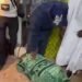 Video: Gov Adeleke prostrates himself to pay homage to Davido’s dad for re-election support