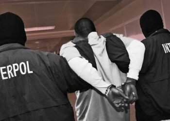 Interpol nabs 58 in crackdown on Black Axe, other organised crime groups in West Africa