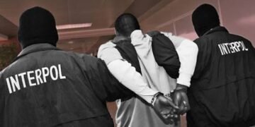 Interpol nabs 58 in crackdown on Black Axe, other organised crime groups in West Africa