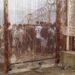Morocco foils mass irregular migration attempt toward Spanish enclave Ceuta