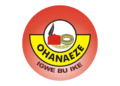 Ohanaeze Ndigbo approves bursary for 200 students studying Igbo language