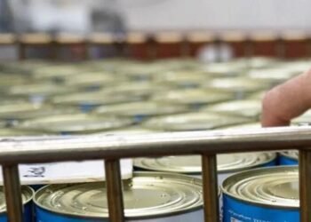 UK to warn public to store tinned food in case of emergencies: FT
