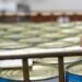 UK to warn public to store tinned food in case of emergencies: FT