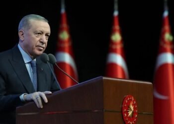 Turkish President Erdogan discusses regional issues in phone calls with African leaders