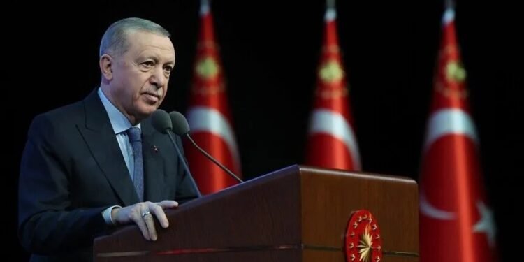 Turkish President Erdogan discusses regional issues in phone calls with African leaders