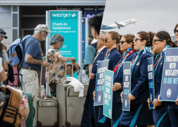 WestJet strike cancels over 300 flights, passengers stranded across Canada
