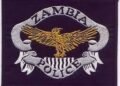 Zambian police arrest suspected militia members, persons of interest
