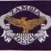 Zambian police arrest suspected militia members, persons of interest