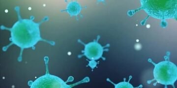 Anthrax outbreak in Zambia kills 46 hippos, 8 elephants, 5 buffalo