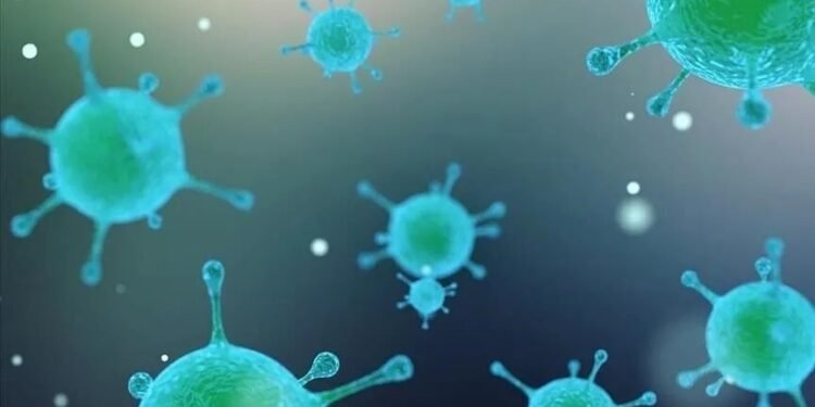 Anthrax outbreak in Zambia kills 46 hippos, 8 elephants, 5 buffalo