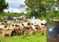 Hunters, vigilantes ambush, kill 18 headmaster-led bandits in Katsina