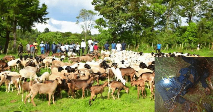 Hunters, vigilantes ambush, kill 18 headmaster-led bandits in Katsina