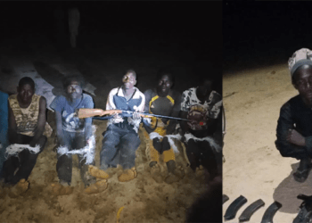 Boko Haram terrorist surrendered in Borno, six alleged kidnappers nabbed