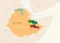TPLF forces take control of airport in Ethiopia’s Tigray as tensions deepen