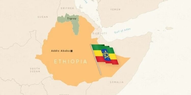 TPLF forces take control of airport in Ethiopia’s Tigray as tensions deepen