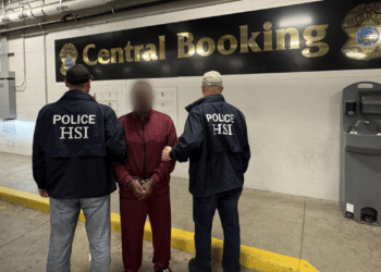 ICE nabs Nigerian Olawunmi Johnson over illegal voting, false U.S. citizenship claim