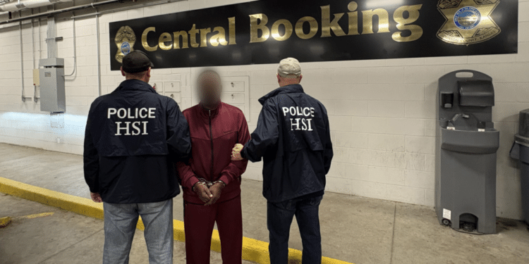 ICE nabs Nigerian Olawunmi Johnson over illegal voting, false U.S. citizenship claim