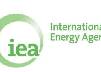 Nigeria could double energy investment in five years: IEA