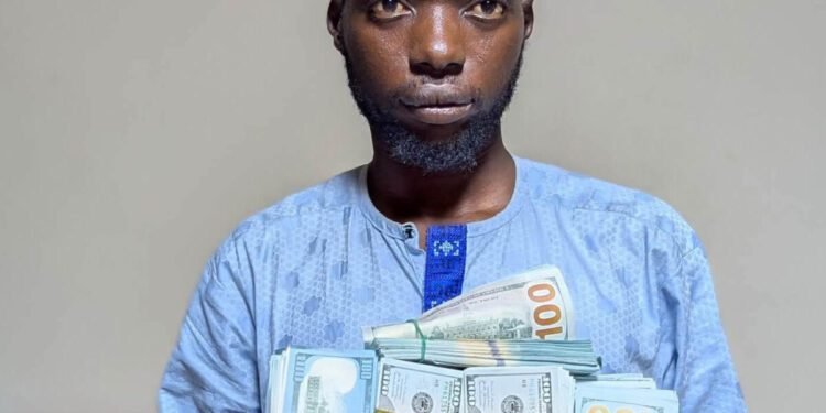 NDLEA nabs Kano man with fake $200,000 cash, hands suspect to EFCC