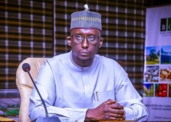 NADF seeks new funding for Africa’s food systems