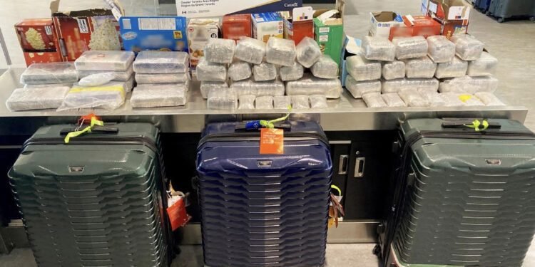 Sri Lanka-bound 44kg hashish, 13kg cocaine intercepted at Canada’s Toronto Pearson’s airport